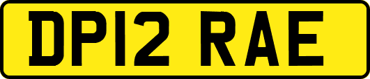 DP12RAE