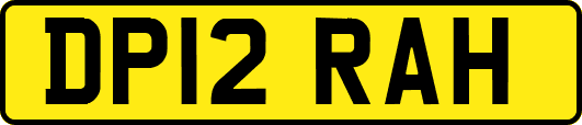 DP12RAH