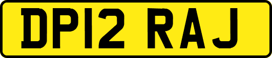 DP12RAJ