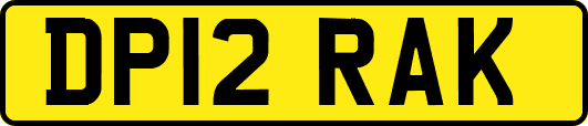 DP12RAK