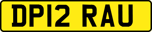 DP12RAU
