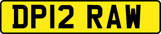 DP12RAW