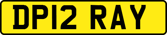 DP12RAY