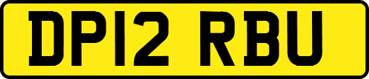 DP12RBU
