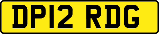 DP12RDG