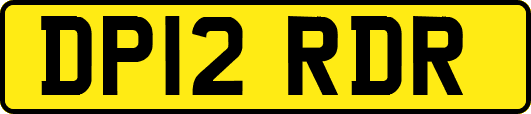 DP12RDR