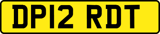 DP12RDT