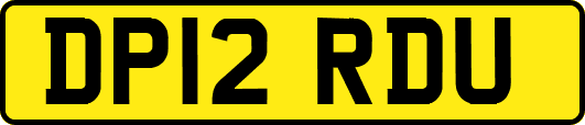 DP12RDU