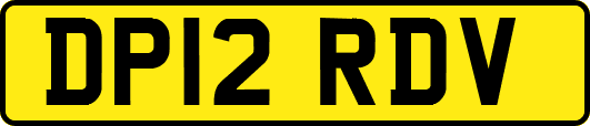 DP12RDV