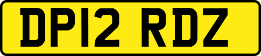 DP12RDZ