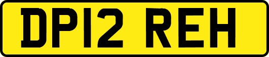 DP12REH