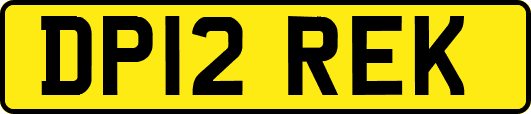 DP12REK
