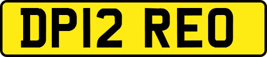 DP12REO