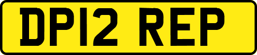 DP12REP