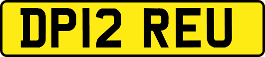 DP12REU