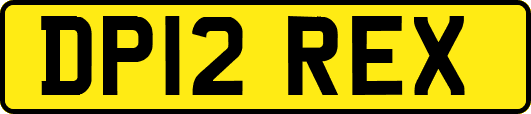 DP12REX