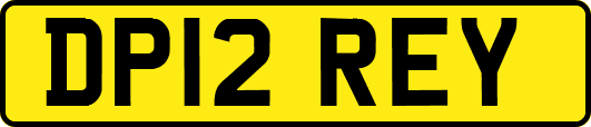 DP12REY