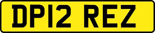 DP12REZ