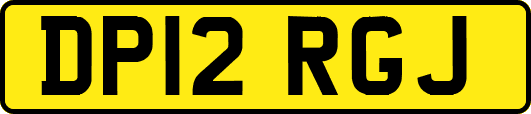 DP12RGJ