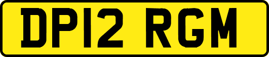 DP12RGM