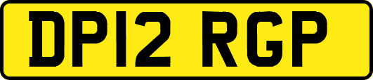 DP12RGP