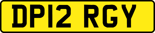 DP12RGY