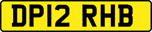 DP12RHB