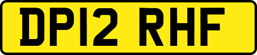 DP12RHF