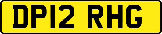 DP12RHG