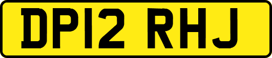 DP12RHJ