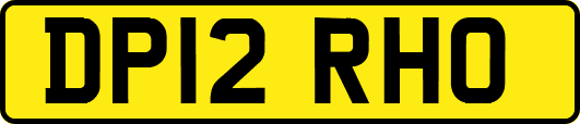 DP12RHO