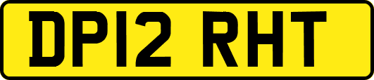 DP12RHT