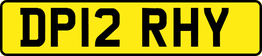 DP12RHY