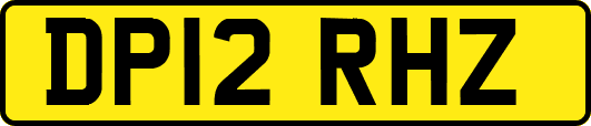 DP12RHZ