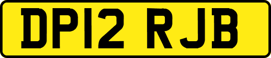 DP12RJB