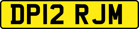 DP12RJM