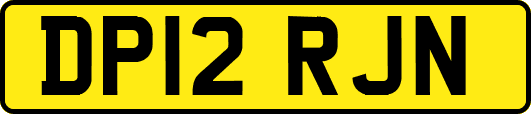 DP12RJN