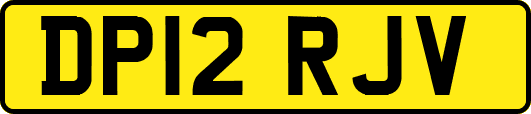DP12RJV