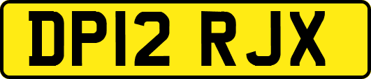DP12RJX