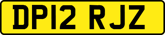 DP12RJZ