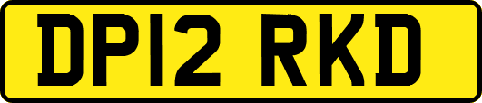 DP12RKD
