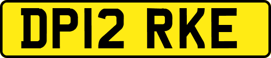 DP12RKE