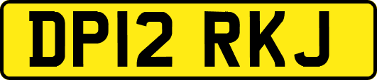 DP12RKJ
