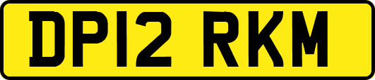 DP12RKM