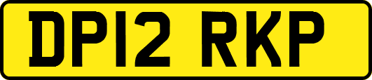 DP12RKP