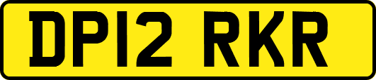 DP12RKR