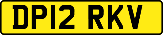 DP12RKV