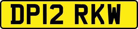 DP12RKW
