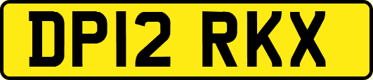 DP12RKX