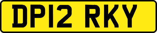 DP12RKY
